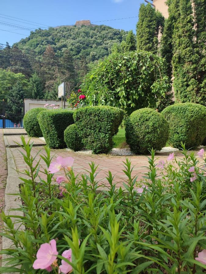 Casa Alina 호텔 데바 외부 사진