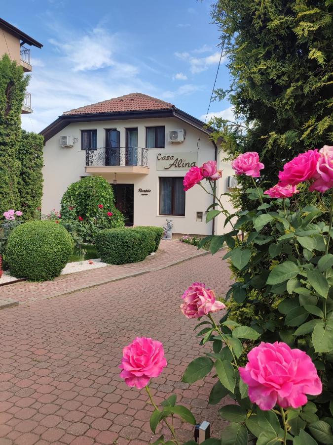 Casa Alina 호텔 데바 외부 사진