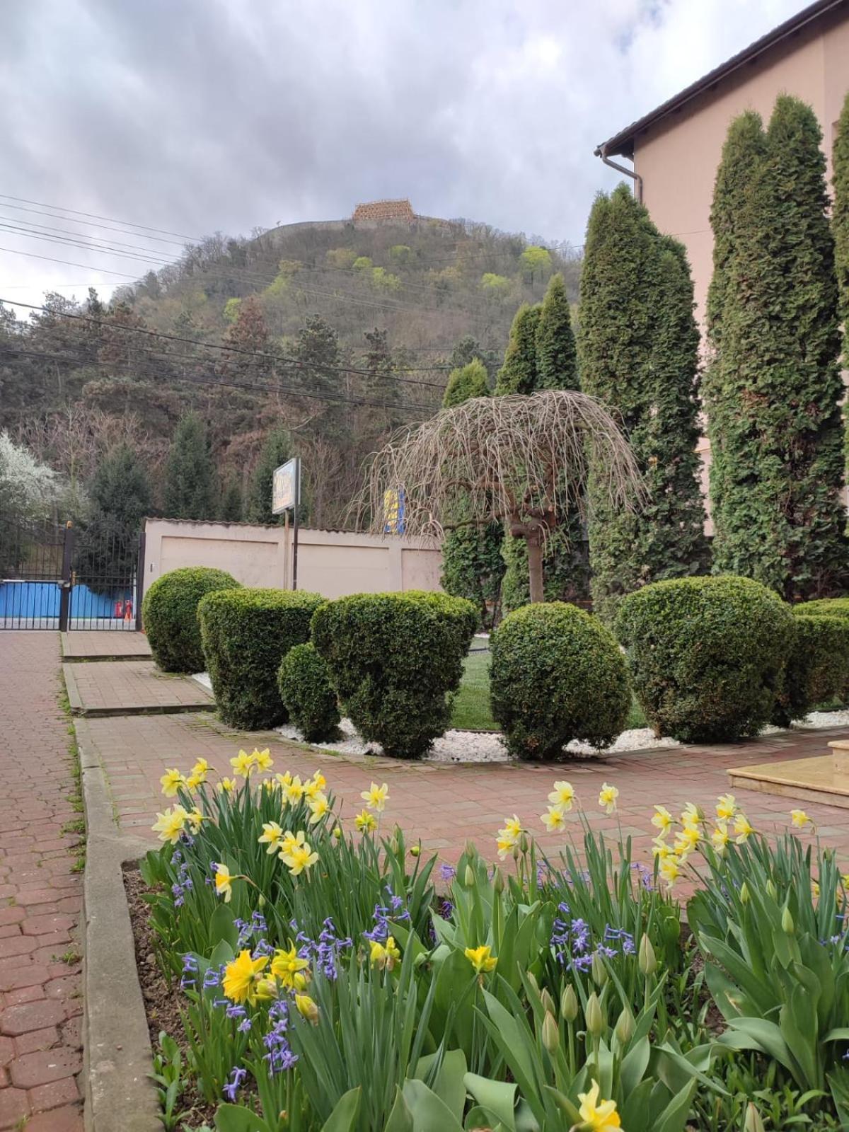 Casa Alina 호텔 데바 객실 사진